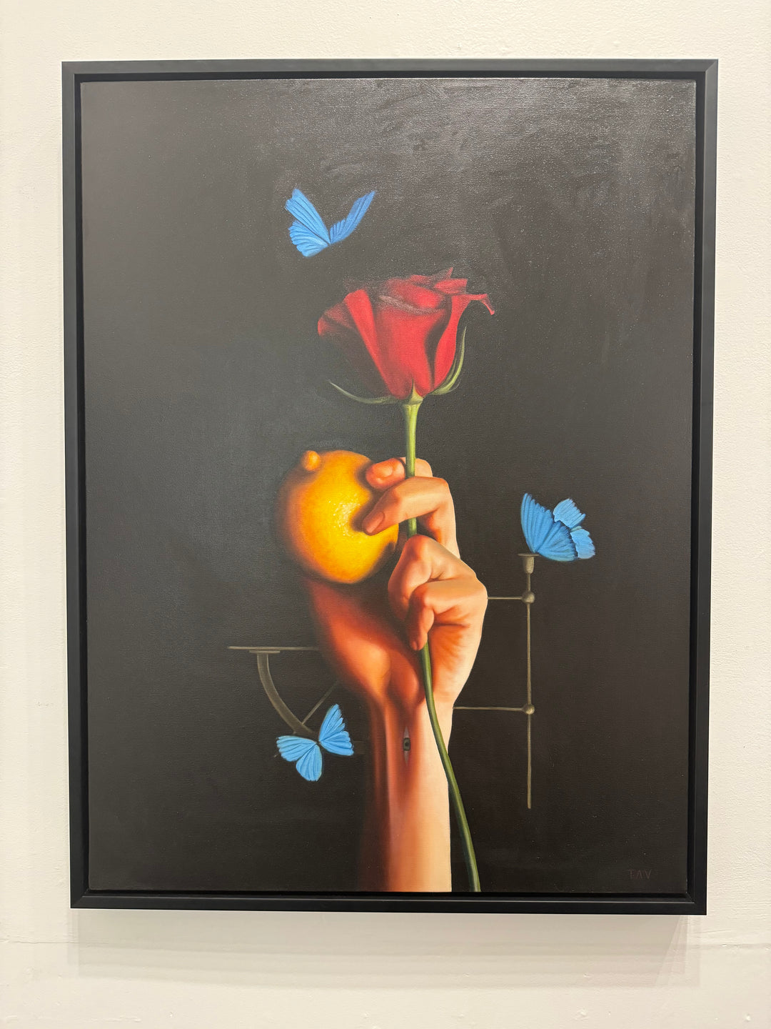 Meta-Morpho